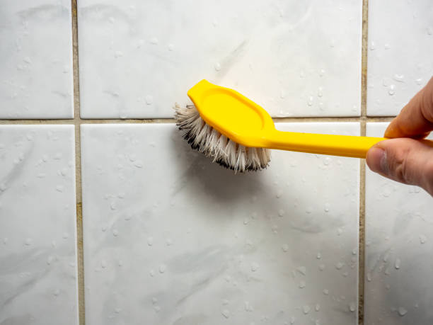 Best Mold Removal Company Near Me  in Lumberton, TX