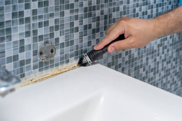 Best Office Mold Removal Services  in Lumberton, TX