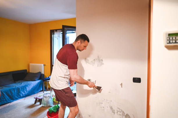 Best Toxic Mold Removal  in Lumberton, TX